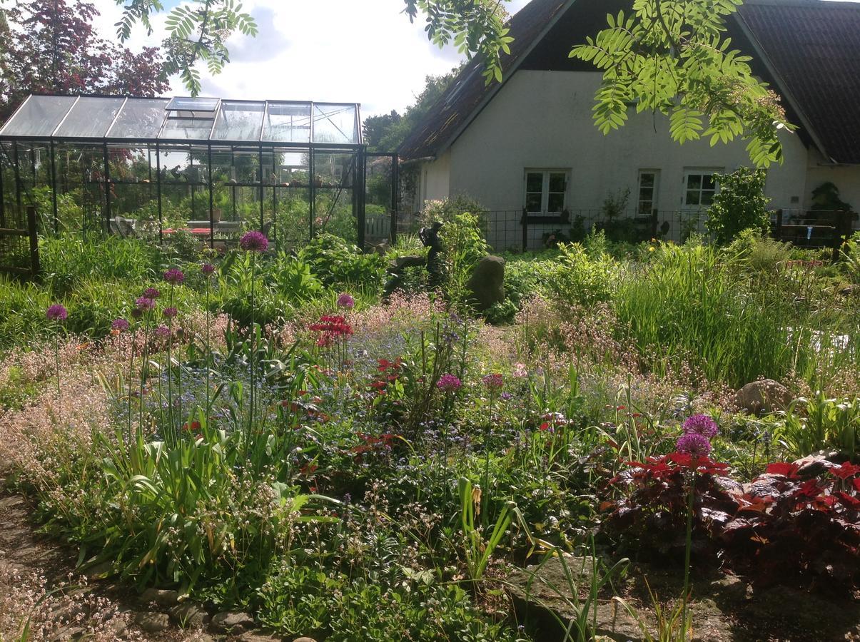 Bed And Breakfast - Stakdelen 47 Allerup Екстер'єр фото