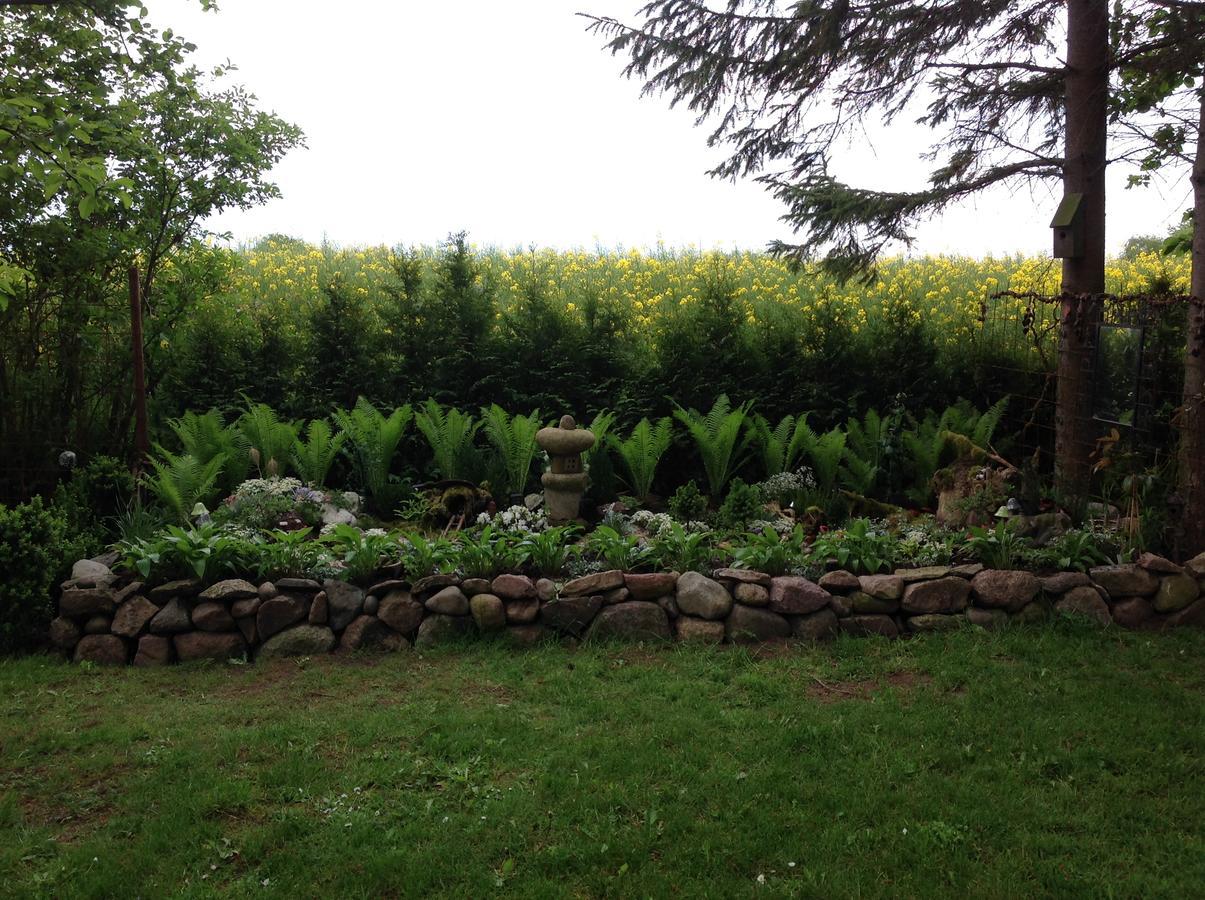 Bed And Breakfast - Stakdelen 47 Allerup Екстер'єр фото